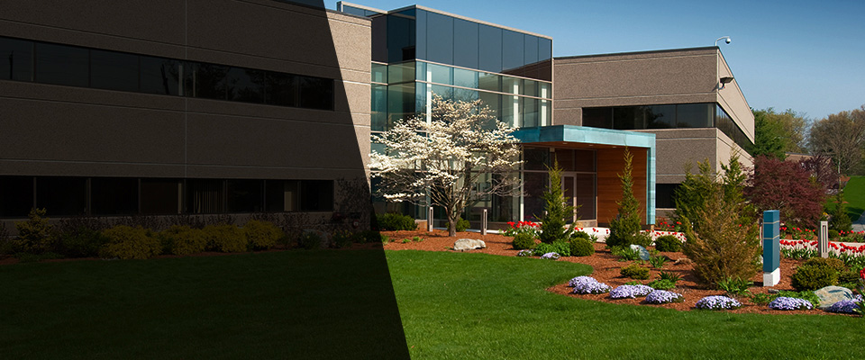 Big Pine Key Landscapers